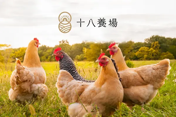 網頁設計-網站設計 - 十八養場