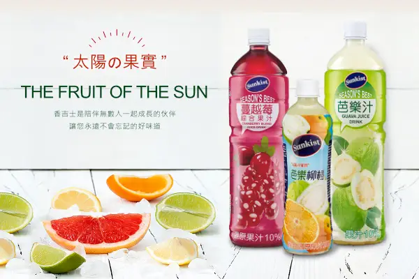網頁設計-網站設計 - 家鄉事業股份有限公司