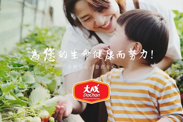 網頁設計-網站設計 - 大成長城企業股份有限公司